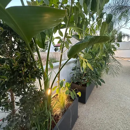 Valerian Palm - Napa's Secret Escape Вилла