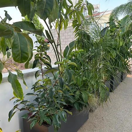 Villa Valerian Palm - Napa's Secret Escape *