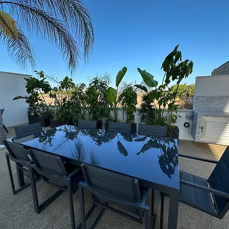 Valerian Palm - Napa's Secret Escape