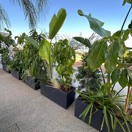 Βίλα Valerian Palm - Napa's Secret Escape Αγία Νάπα