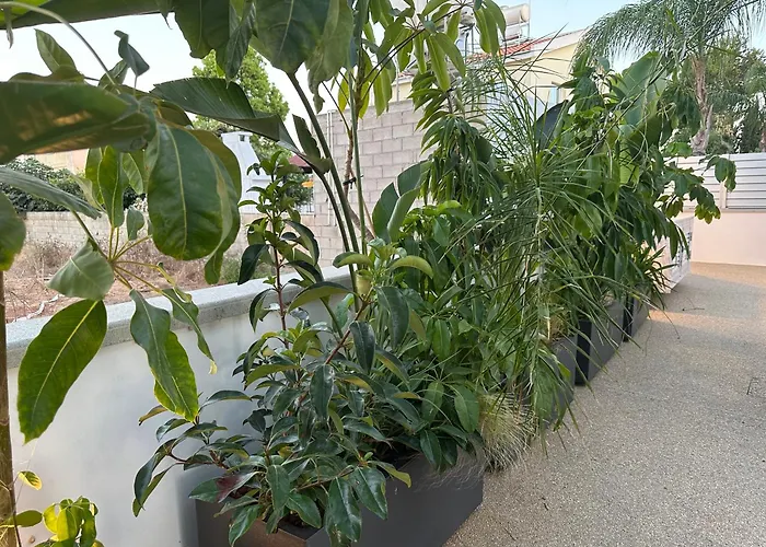 Vila Valerian Palm - Napa's Secret Escape *