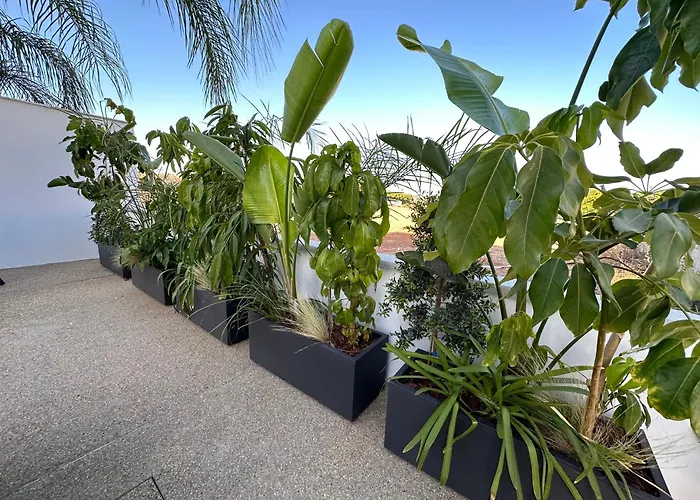 Vila Valerian Palm - Napa's Secret Escape Ayia Napa